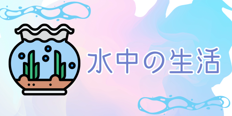 cook 今日なに作ろ？